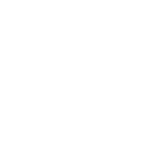 Individual & Business Tax Preparation